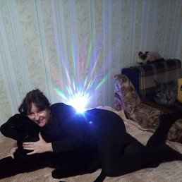 �����, ����������, 49 ���