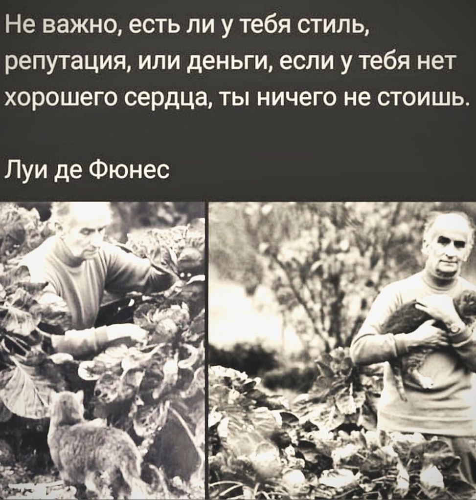 BEST | , ,  - 18  2020  19:05