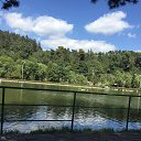 ���� ����, ������ - ��������� 4 �������� 2020 � ������ ���������