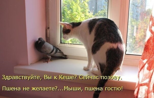    - 25  2020  19:09