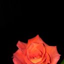 ���� Denis, �������� - ��������� 6 ������� 2021 � ������ ������ - ���� ))�