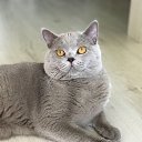 ���� ������ �� ���!, ������ - ��������� 25 ����� 2021 � ������ ������ ��������