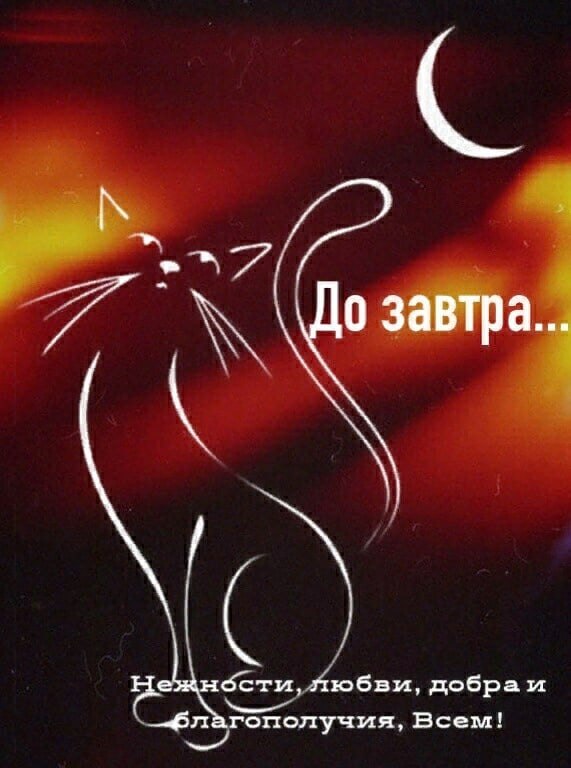   ,    . - 10  2021  20:59 - 4