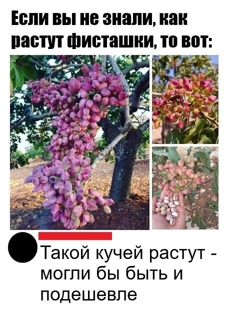  ! #@bon