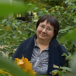 �������, ������, 46 ���