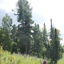  �������, ���� 2020. �� ������� ���� ����������