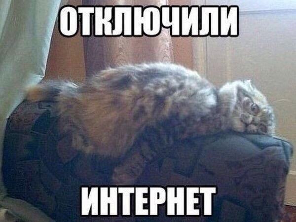    - 5  2021  11:29