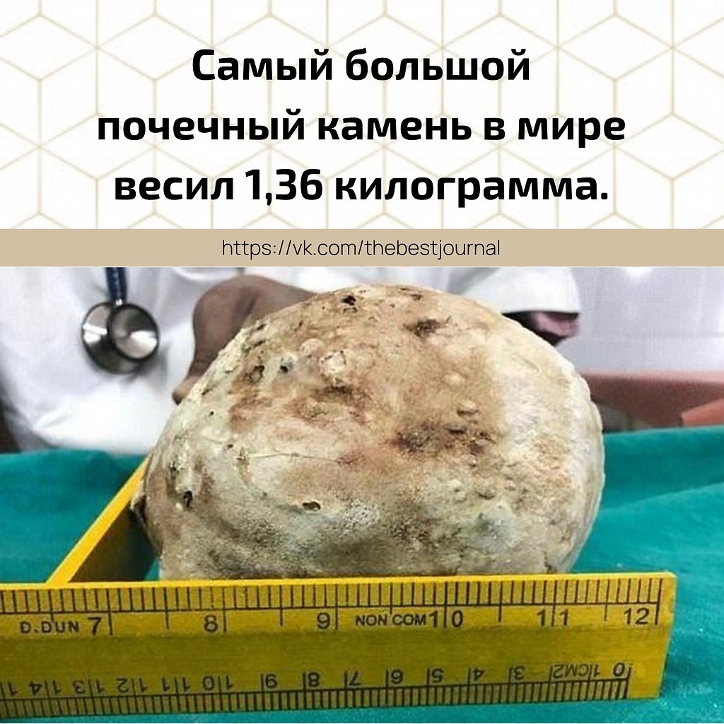 BEST | , ,  - 22  2021  06:22