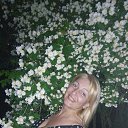 ���� �����, �������� - ��������� 11 ������ 2020 � ������ ���� ����������