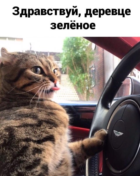    - 3