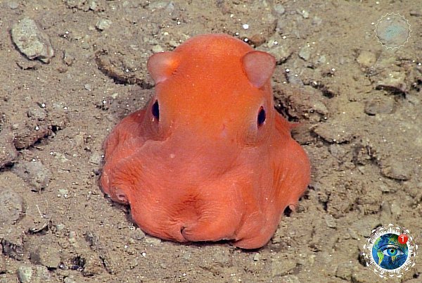 a   o   o pcoa a  co po, o a cao   ... - 3