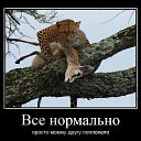  , , 51  -  19  2021    