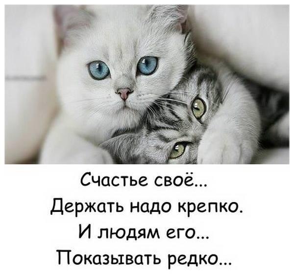    - 3  2020  19:09