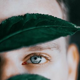 �������, ����, 43 ����