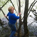 ���� �������, �������� - ��������� 13 ������� 2020 � ������ ���� ����������