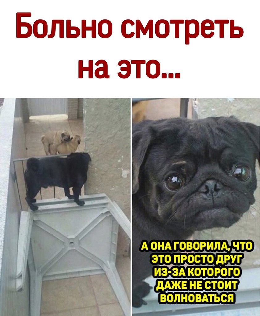 ������ - 28 ������� 2020 � 21:20