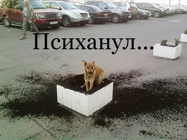:)