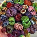 ���� ���, ������, 47 ��� - ��������� 13 ������� 2020 � ������ �������
