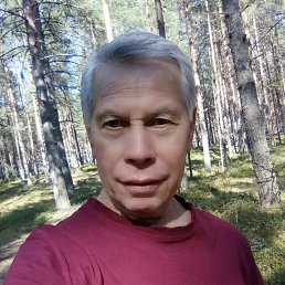 �����, �����-���������, 79 ���