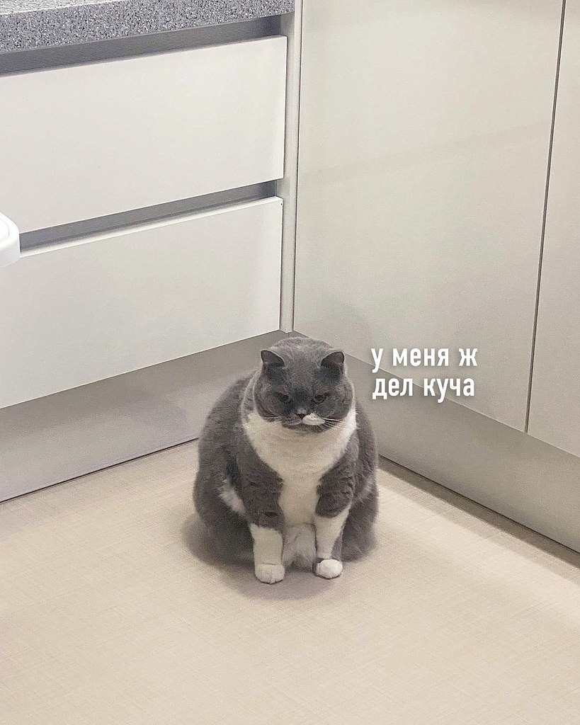    - 3