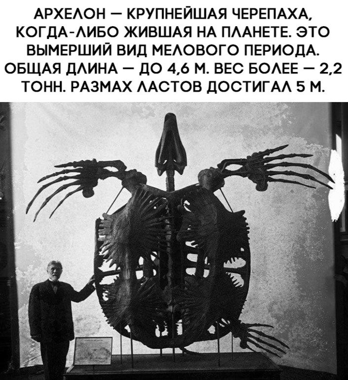 BEST | , ,  - 27  2020  19:07