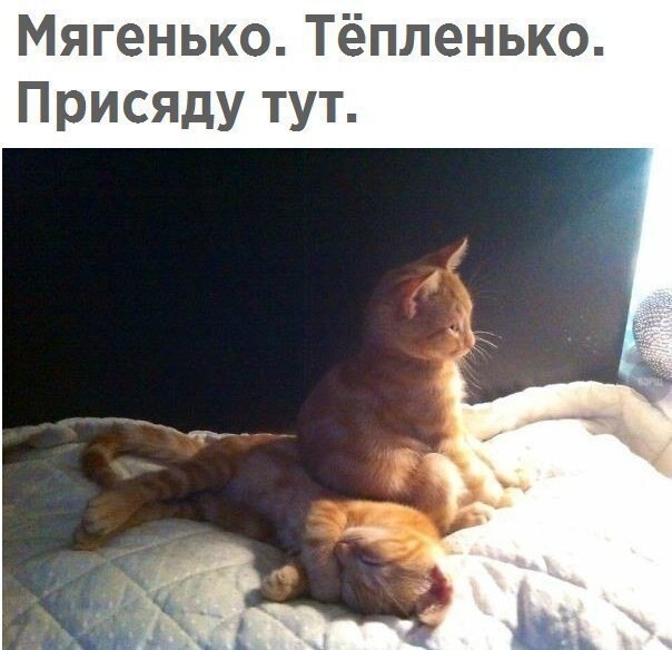    - 3  2020  19:09