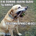 ���� ������, ������������ - ��������� 24 �������� 2020 � ������ ���� � ���