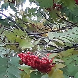 ���������, ��������, 59 ���