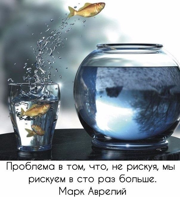 Красиво сказано . . . - 5 сентября 2020 в 18:39