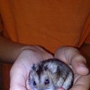 ���� �����, �����������, 45 ��� - ��������� 9 ������ 2021 � ������ ������ ��������