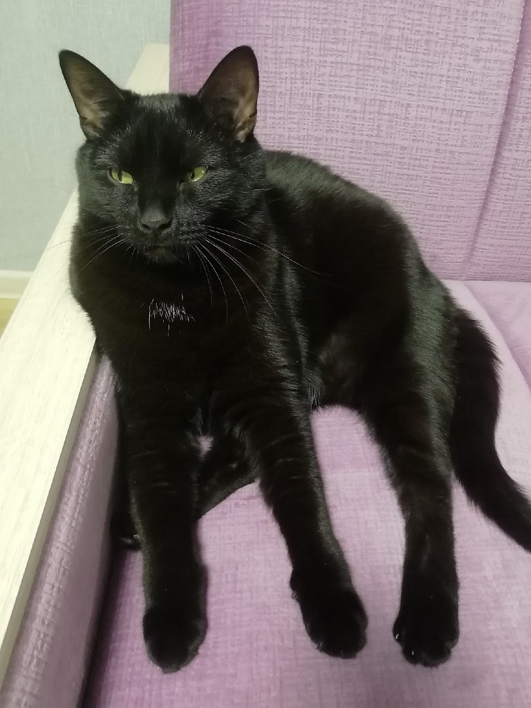 ---...       ?