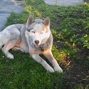 ���� Sergei, ������, 63 ���� - ��������� 19 ����� 2021 � ������ ���� ����������