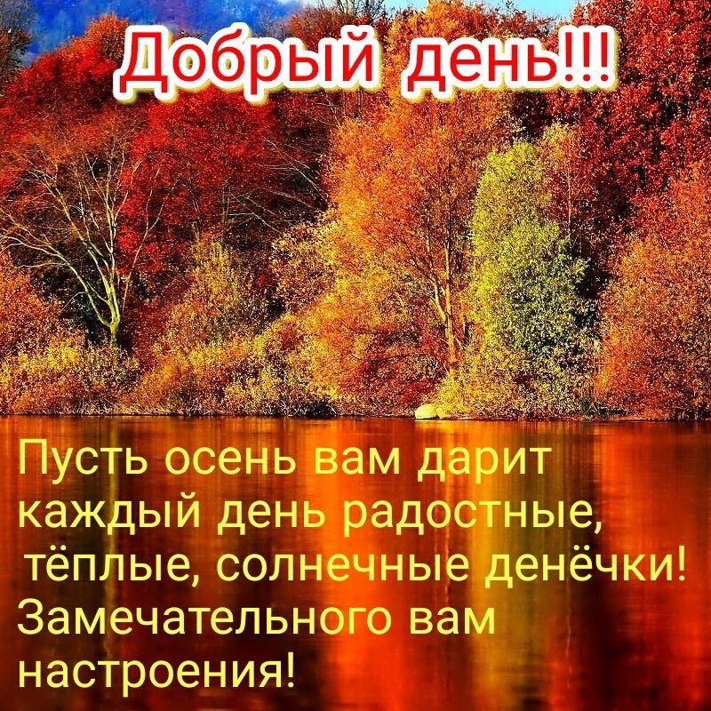   ,    . - 23  2020  12:15