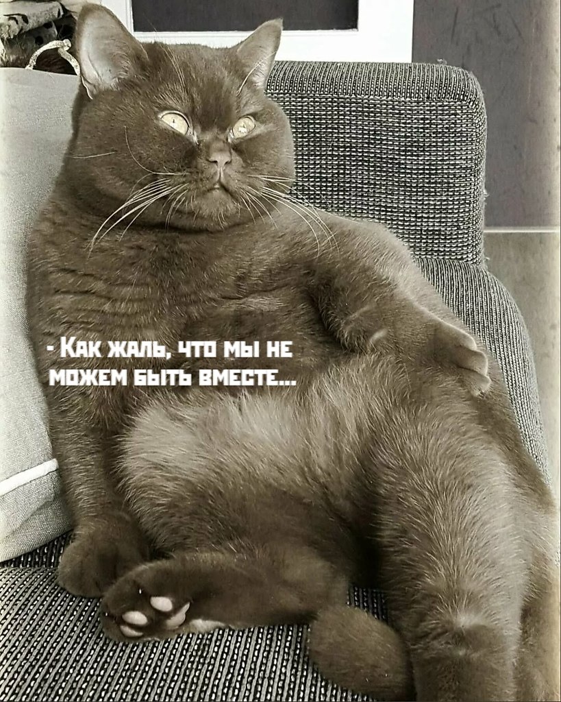       - 9  2021  13:03