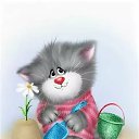 ���� Sandra, ������ - ��������� 31 ������� 2020 � ������ ������ ��������