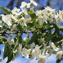  ,  , 58  -  30  2020    