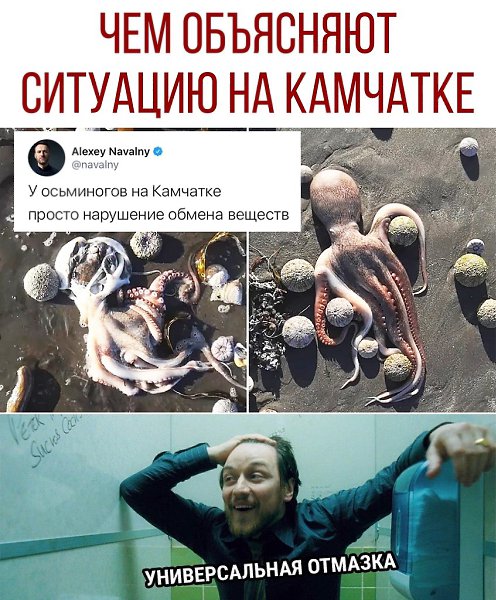 ������ - 5 ������� 2020 � 18:42