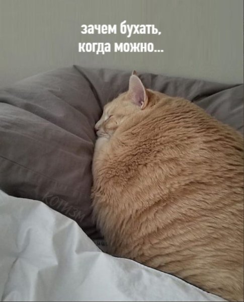    . .