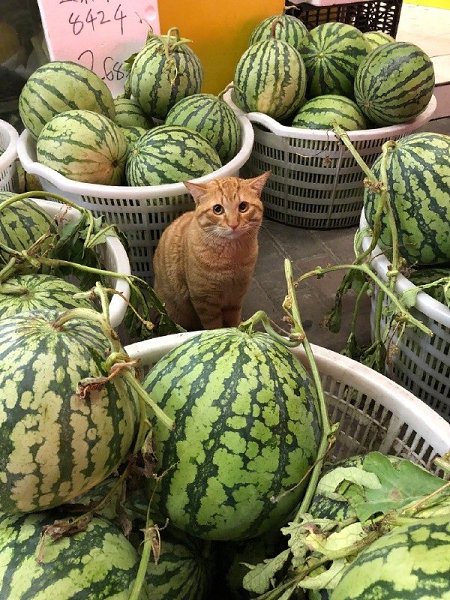 Фото из записи: