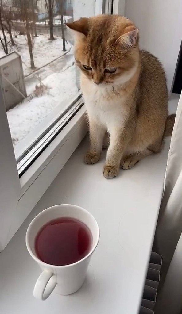   - 5