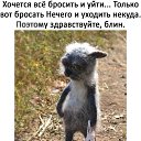 ���� �����, ����� - ��������� 6 ������� 2020 � ������ ���� ����������