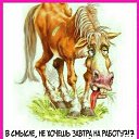 ���� ���, ������, 47 ��� - ��������� 13 ������� 2020 � ������ �������