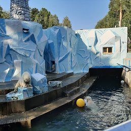 ���� ���������, ��������, 69 ��� - ��������� 3 �������� 2020