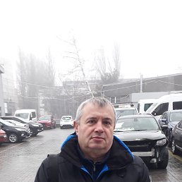 , 61, 