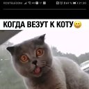 ���� �����, �������������, 58 ��� - ��������� 19 �������� 2020