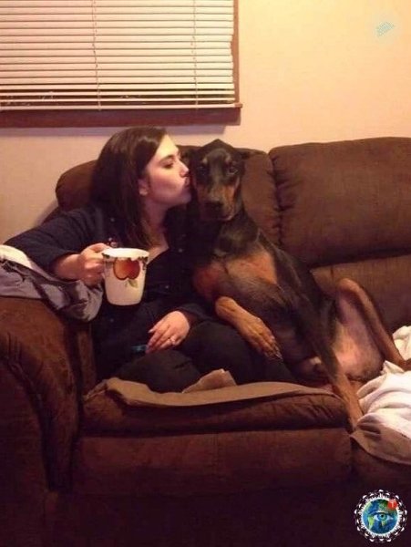 aopo, cpe oepa. gratplant  - 2