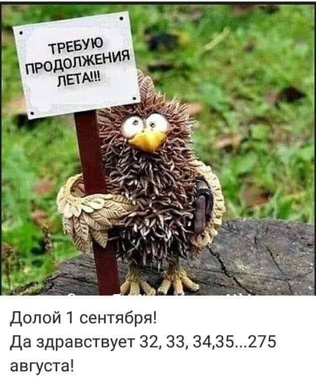  - 31  2020  15:48