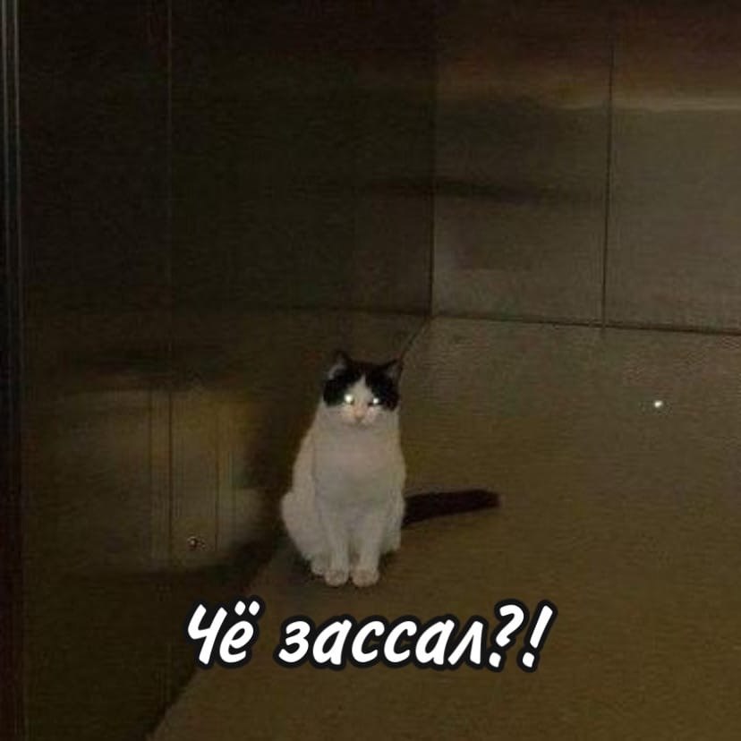       ,   ! - 3