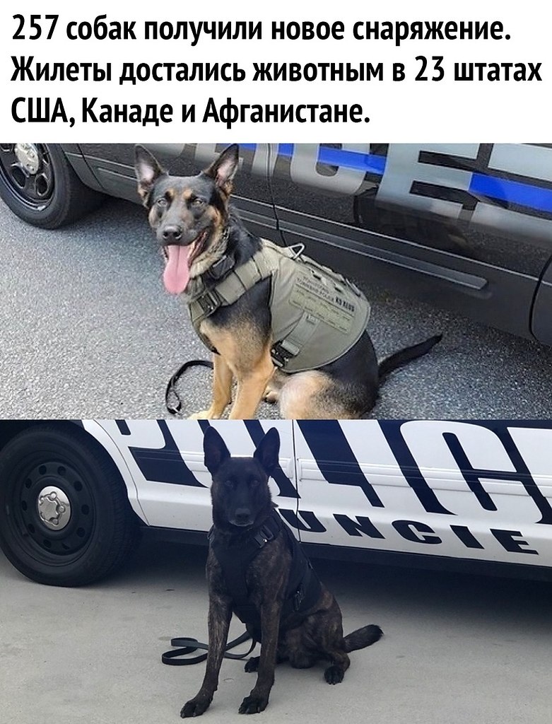   - 3