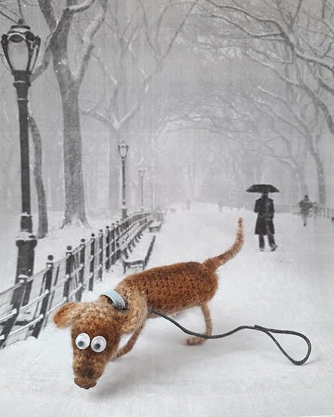       subbotaiuliia2319.     - 5